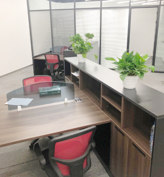 Se abre "SCS Concept China Co., Ltd."